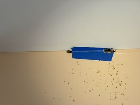 Picture of Yellowjacket entry point