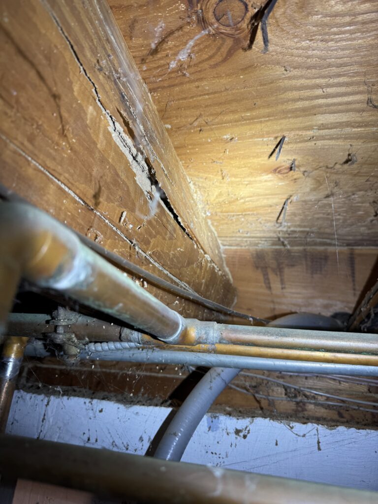Termite infestation causing damage to structural wood beam