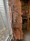 An example of fiberglass insulation infested and riddled with droppings