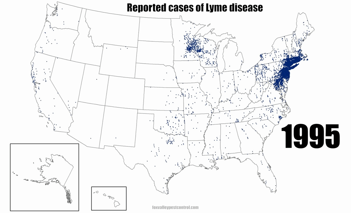Animated map showing reported Lyme disease cases expanding from the Northeast into the Great Lakes and upper Midwest between 1995 and 2023