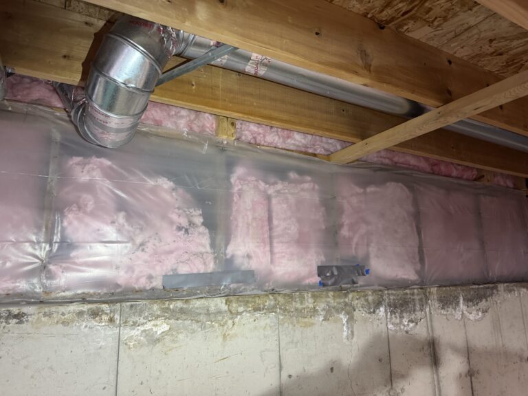 basement wall insulation damaged by mice infestation