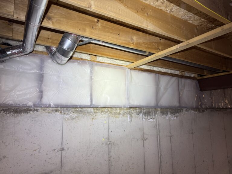basement insulation replaced after mice infestation