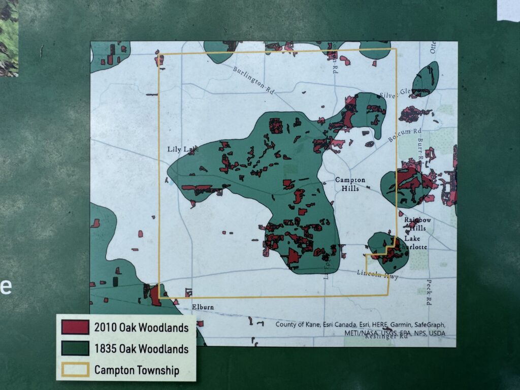 Map comparing oak woodland cover in Campton Township between 1835 and 2010