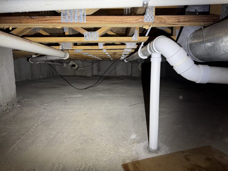 Crawlspace cleaned up of mouse droppings